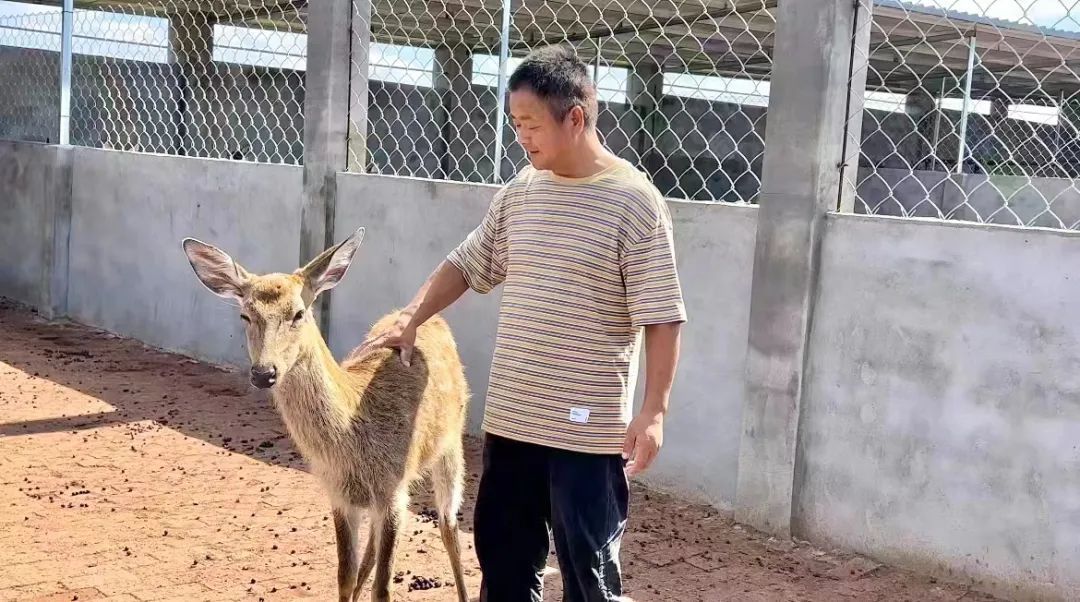 澳门动态即时盘